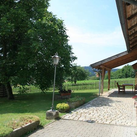 Ferienhaus Winter Blaibach Екстериор снимка