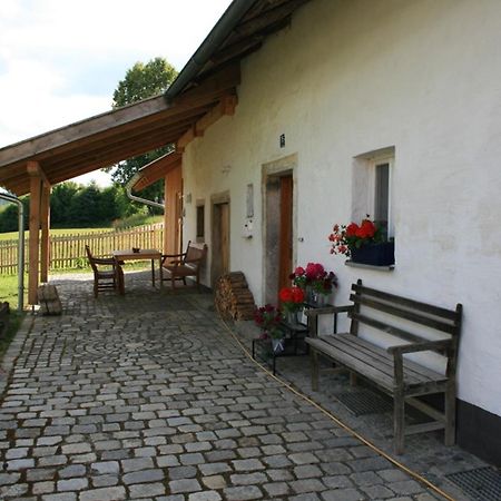 Ferienhaus Winter Blaibach Екстериор снимка