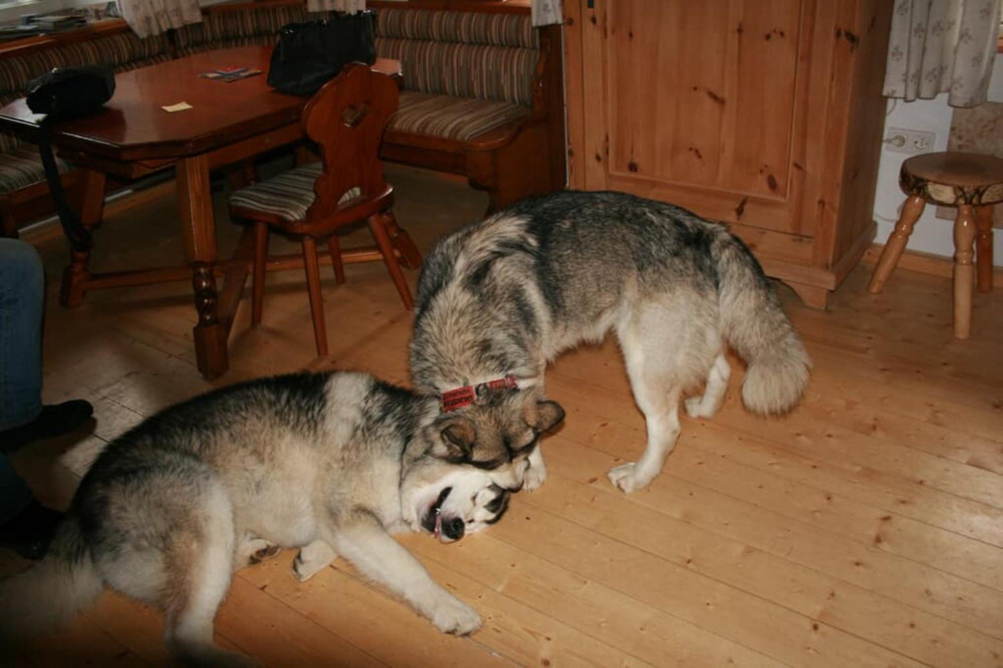Ferienhaus Winter Blaibach Екстериор снимка